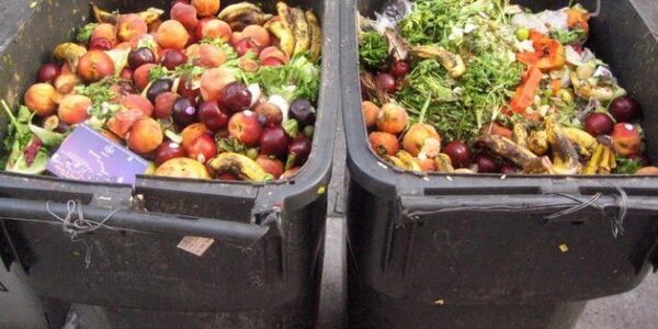 Source: http://www.ecosmartworld.com/wp-content/uploads/2015/05/food-waste.jpg