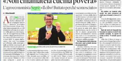 immagine-1
